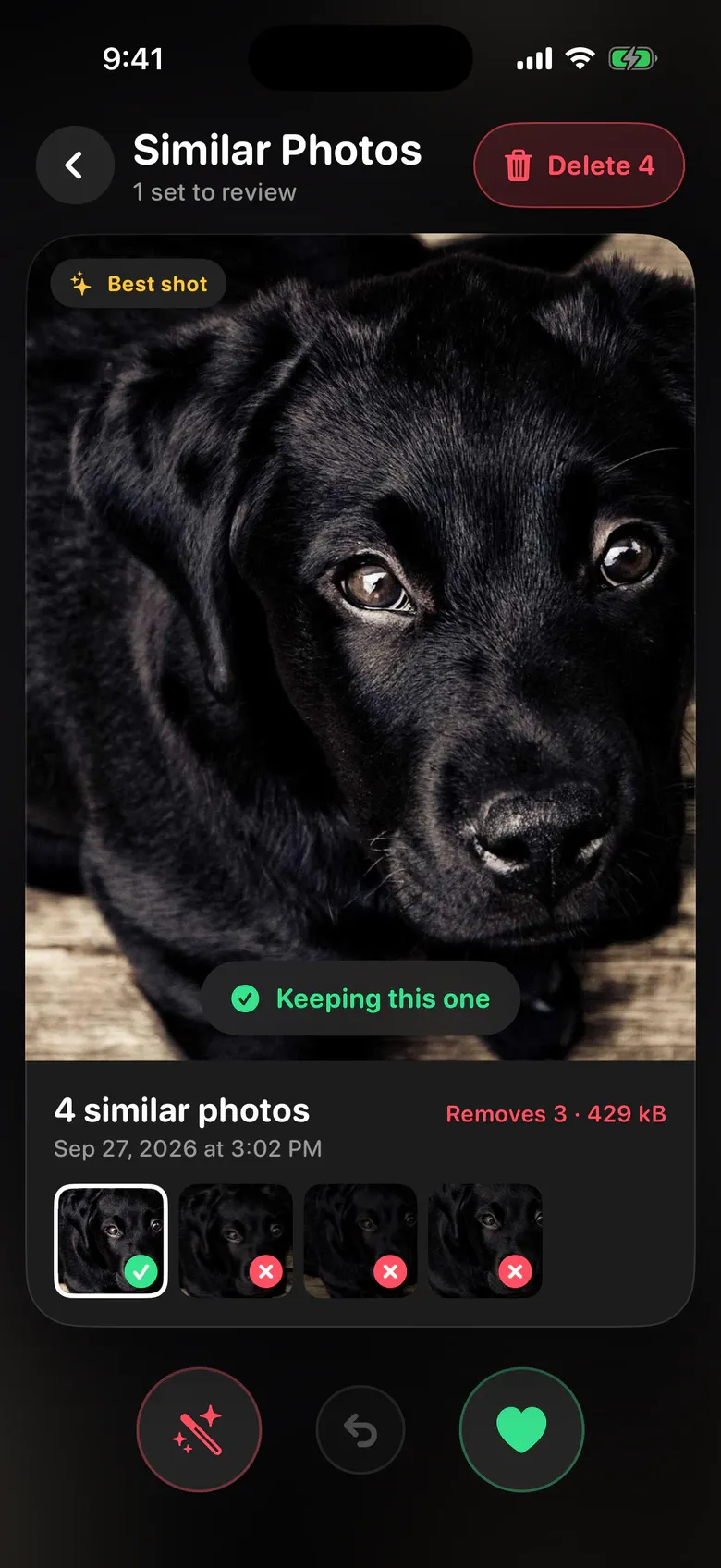 Similar Photos in Sift: four shots of a puppy, the sharpest marked as the one to keep